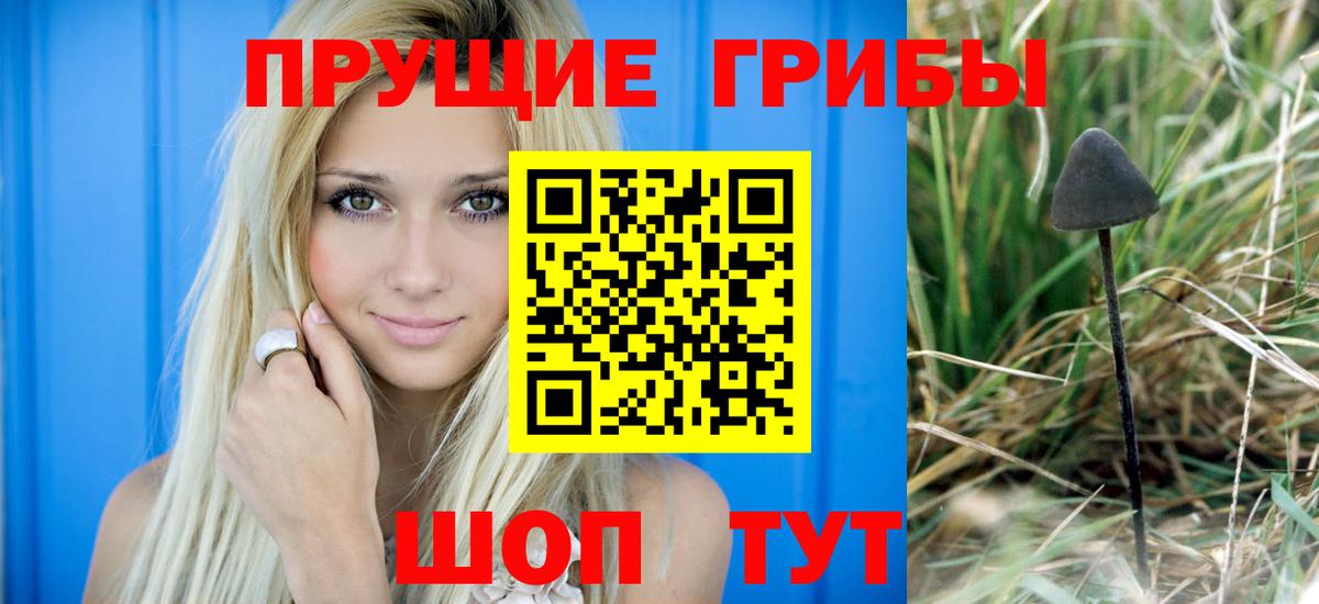 Псилоцибиновые грибы ЛСД Мичуринск