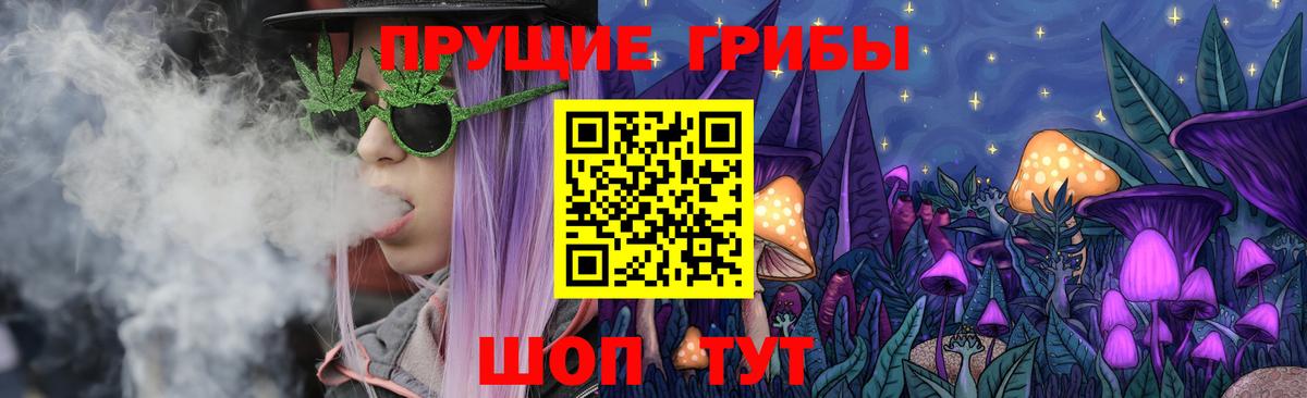 Мичуринск  Галлюциногенные грибы Cubensis  Вход с VPN 